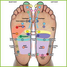 Reflexology Foot Map